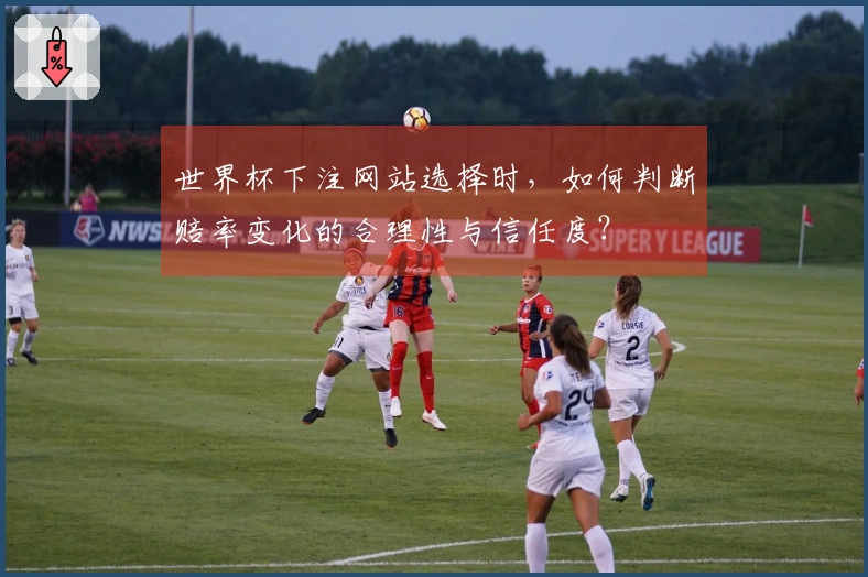 世界杯下注网站选择时，如何判断赔率变化的合理性与信任度？