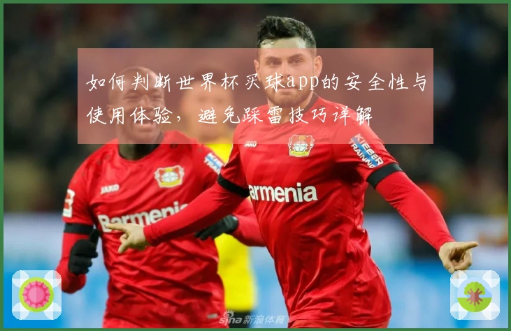 如何判断世界杯买球app的安全性与使用体验，避免踩雷技巧详解
